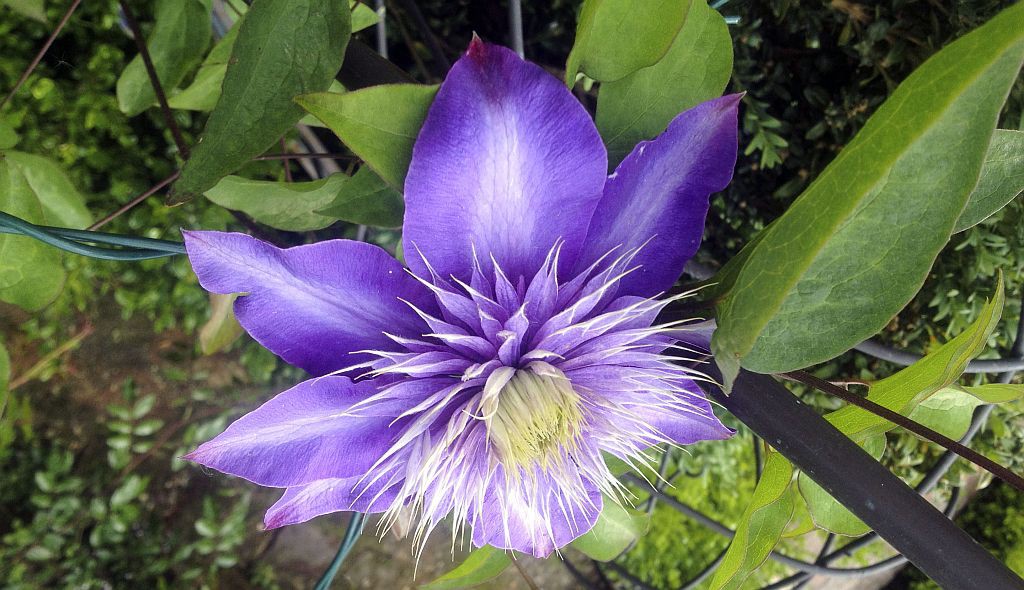 Giardini 2014: nuovi e un po' rifatti...