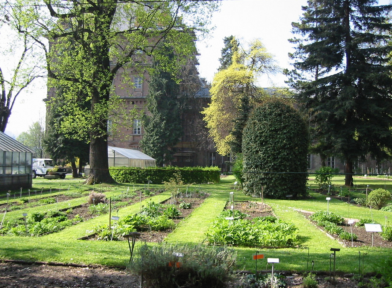 L'Orto Botanico di Torino