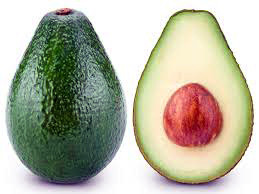 Avocado: una pianta ricca di proprietà.