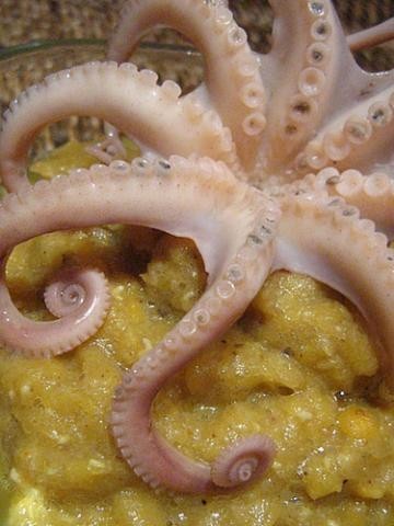 Curry di lenticchie rosse con polpo