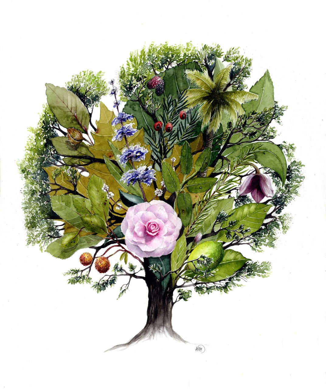 Biodiversità italiana