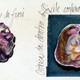 L'ostrica