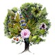 Biodiversità italiana