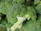 broccoli2