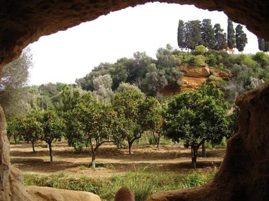 kolymbetra3