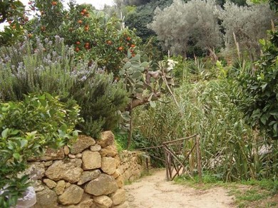 kolymbetra2