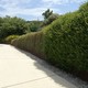 Il giardino botanico di Barcellona