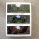 Pascal Cribier - Itinéraires d'un jardinier