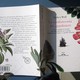 La Confraternita dei Giardinieri